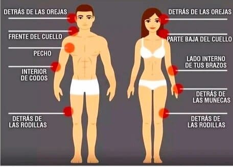 Encabezado